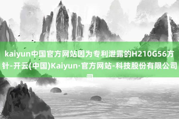 kaiyun中国官方网站因为专利泄露的H210G56方针-开云(中国)Kaiyun·官方网站-科技股份有限公司