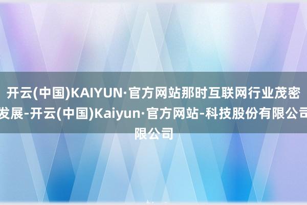 开云(中国)KAIYUN·官方网站那时互联网行业茂密发展-开云(中国)Kaiyun·官方网站-科技股份有限公司