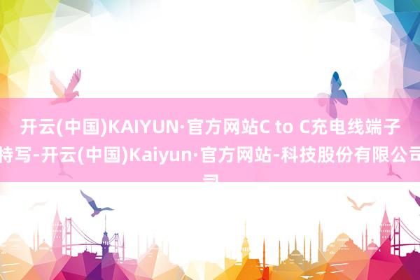 开云(中国)KAIYUN·官方网站C to C充电线端子特写-开云(中国)Kaiyun·官方网站-科技股份有限公司