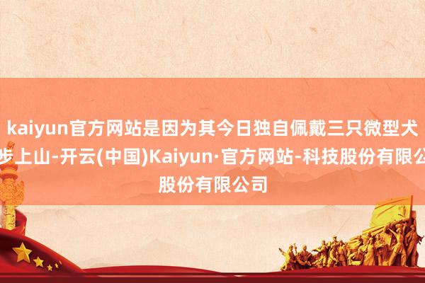 kaiyun官方网站是因为其今日独自佩戴三只微型犬徒步上山-开云(中国)Kaiyun·官方网站-科技股份有限公司