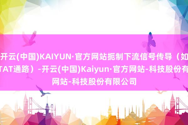 开云(中国)KAIYUN·官方网站扼制下流信号传导（如JAK/STAT通路）-开云(中国)Kaiyun·官方网站-科技股份有限公司