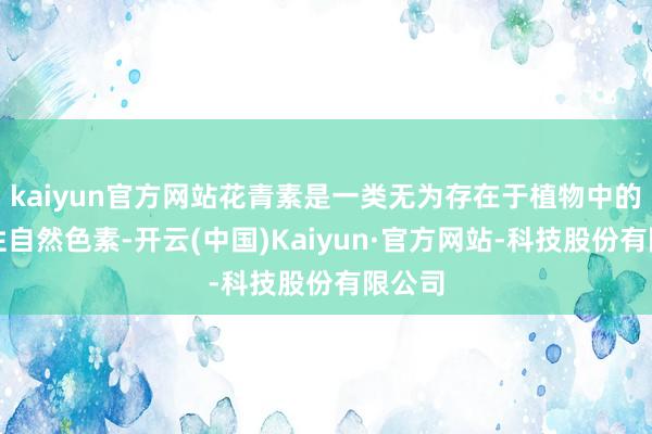 kaiyun官方网站花青素是一类无为存在于植物中的水溶性自然色素-开云(中国)Kaiyun·官方网站-科技股份有限公司