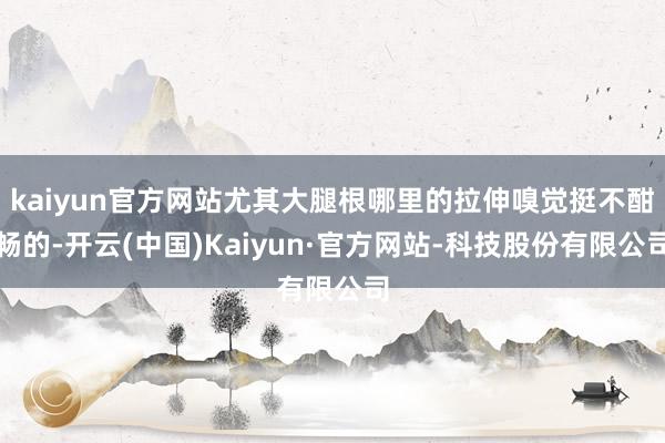 kaiyun官方网站尤其大腿根哪里的拉伸嗅觉挺不酣畅的-开云(中国)Kaiyun·官方网站-科技股份有限公司